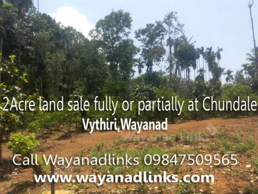 2 Acre land sale fully or partially at Vythiri,Wayanad