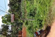 10cent mattannur-irrity road chavassery kannur House plot