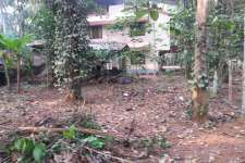 78 cents of land in Cherukole, Kozhencherry