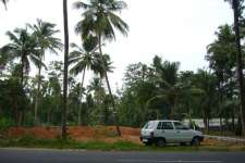 Prime Land on Kochi-Munnar Highway near Kothmangalam