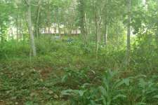 Plain plot of 13 cent at Mulanthuruthy