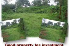 Good property for investment in Wayanadlinks