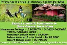 Enjoy Your Stay In Spice Garden Homestay