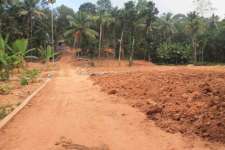 8 and half land plot near nedumangad