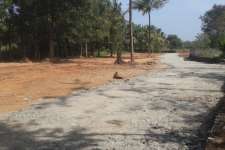 Residential land for sale in Gandhi Nagar, Cheroor