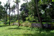 75 cent land for sale in Trichur district.