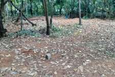 10 cents of land near National Highway Ezhilode,Payyannur Kannur District.