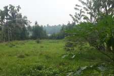 60 cent waterfront land for sale