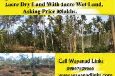 2acre Land For Sale At Kenichira Wayanad Wayanadli