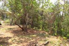 50 cent land sale in varkala