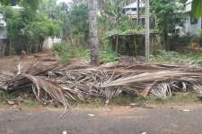 8 cent residential land for sale in kolazhy