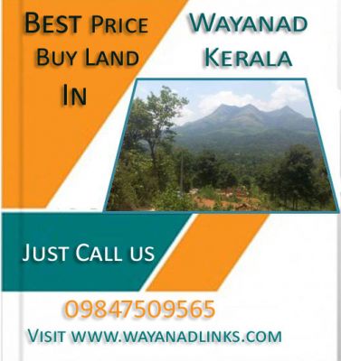 Best price buy land in Wayanad-Kerala