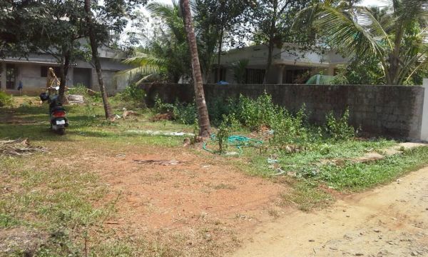 11cent land in kodanad.perumbavoor,ernakulam dist