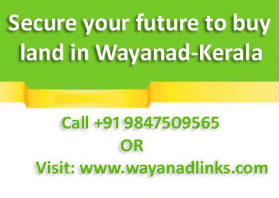 1 Acre agricultural land 25 Lakhs at Choothupara Wayanad