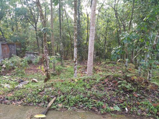 9 CENT ROAD SIDE LAND FOR AN URGENT SALE AT CHALAPARAMBU, ADOOR