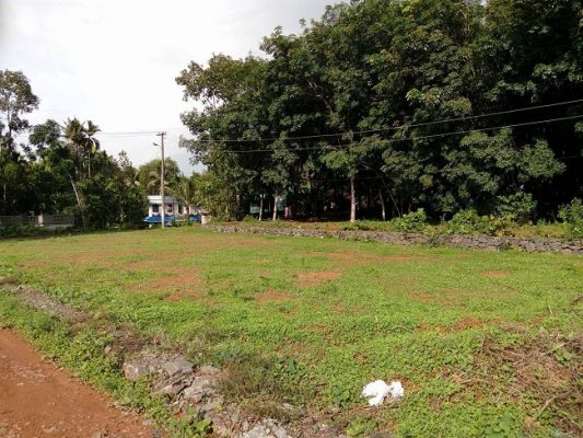 4,5,6 cent house plot in mulanthuruthy