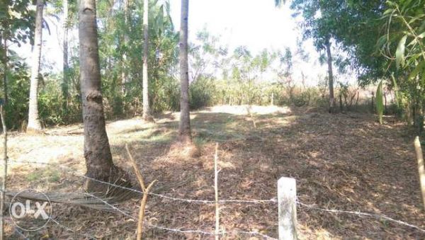 30 cent square plot near kareelakulangara junction