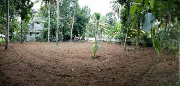 Residential Land near Sree Buddha School, Velluthamanal