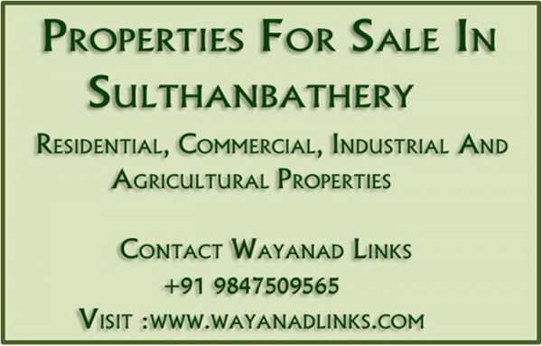 Properties for Sale in Sulthan bathery Wayanad