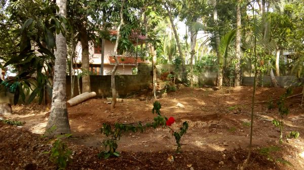 4.5 cent plot for sale in Neyyattinkara,Trivandrum District