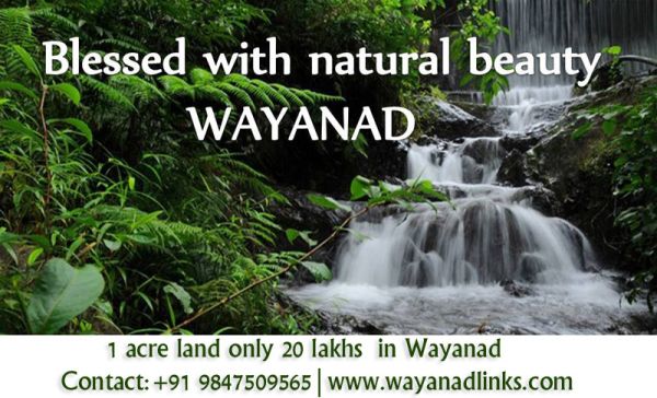 1 acre land only 20 lakhs in Wayanad Wayanadlinks