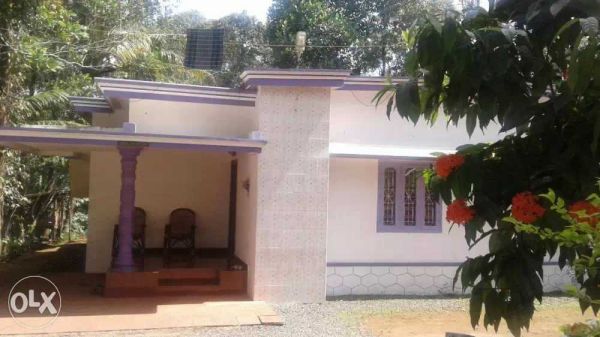 3 acre house with land for sale in idukki