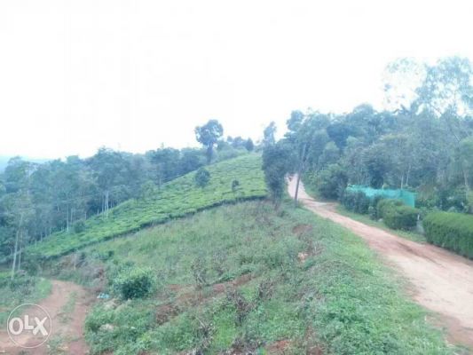 1 acre land in pulimkatta near vagamon for sale useful for resorts also