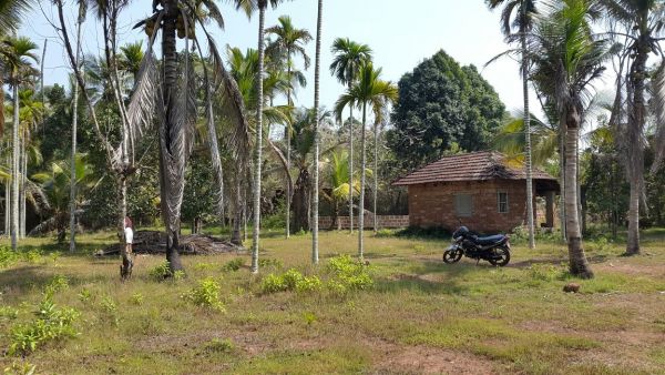 32 cent plot full or part Karamel Payyannur