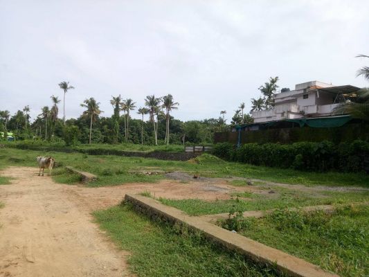 4,5,6,10 cent of land in Trippunithura for sale