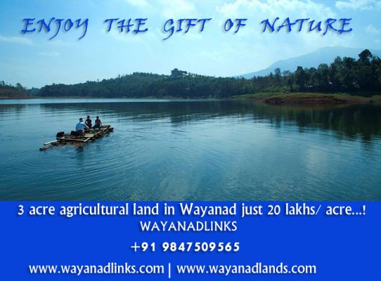 3 acre agricultural land in Wayanad just 20 lakhs/ acre...!