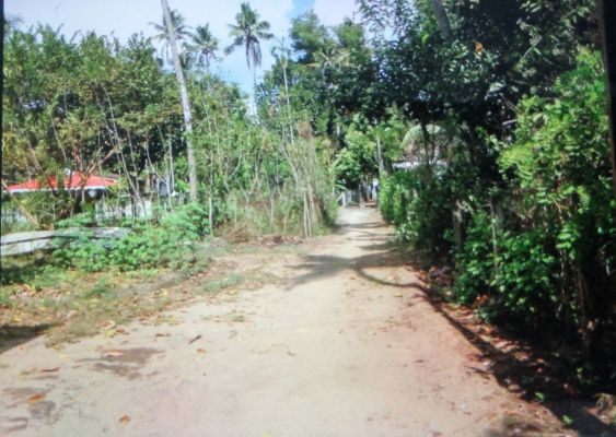 5.8 cents of square plot near thrippekkulam siva temple mathilakom, thrissur