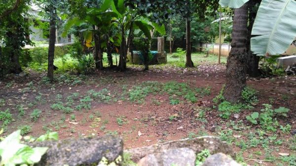 7 cent Residential land with an old house for sale in Punkunnam