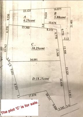 18.25 cents residential land in Chowannur, Kunnamkulam.