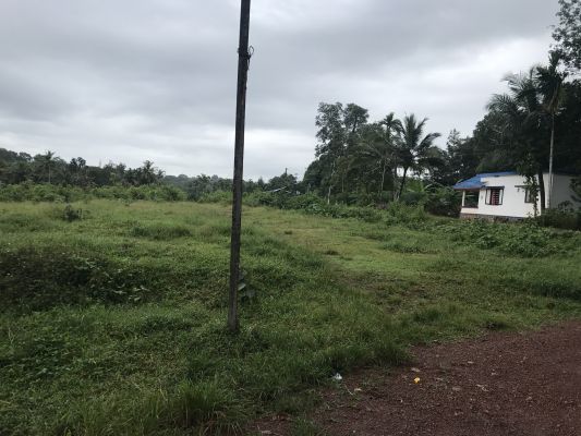 LAND FOR SALE @Edappon Alappuzha