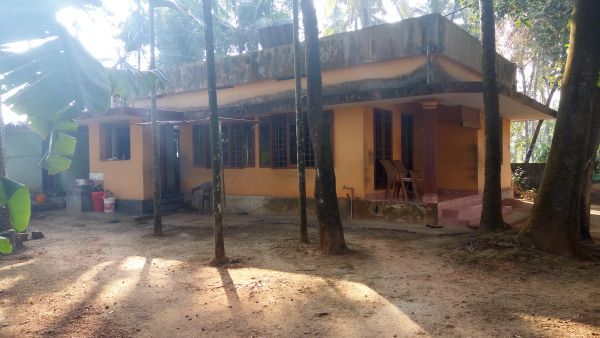 11.150 cent of land in tripunithura,ernakulam