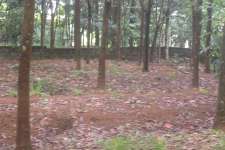 Residential plots 10-15 cents near MG road, Adoor