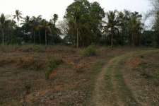 5.78 acres of land at Pattambi-Koppam