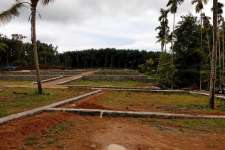 8,5 cents of house plot in Chottanikkara - Eruveli