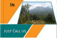 Best price buy land in Wayanad-Kerala