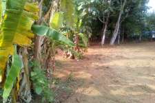 Residential land for sale in nedumbassery