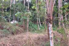 22 cents of land in porkulam in Trichur