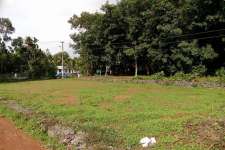 4,5,6 cent house plot in mulanthuruthy