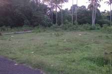 13.5 cents of land in Thirumoolapuram, TVLA  @3L per cent Negotiable