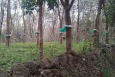 45 cent land in edakkatuvayal near mulanthuruthy- ernakulam