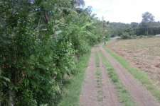 45 cents plain plot at Trithala