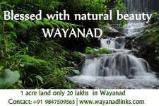 1 acre land only 20 lakhs in Wayanad Wayanadlinks