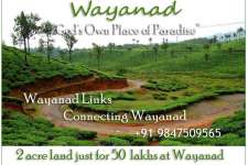 2 acre land just for 50Lakhs at Wayanad