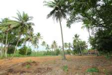 1 acre 85 cent land in elavoor,ernakulam