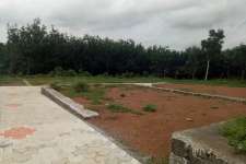 4,5,6,10 cents of land in  thalakodu ,chottanikkara for sale