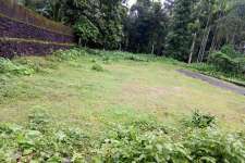 7 cent of land in chottanikkara  for sale